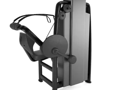 Gym Abdominal Crunch Equipment 3D model