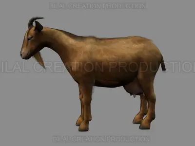 ANIMATED GOAT 3D model
