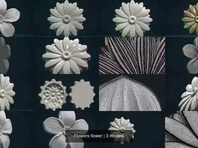 Flowers flower 3D Model Collection