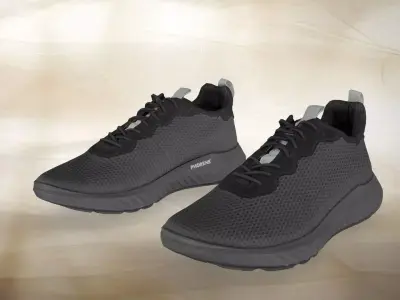 A pair of unused Ecco 010 Low-poly 3D model