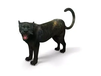 3d Black Panther Rigged Model Low-poly 3D model