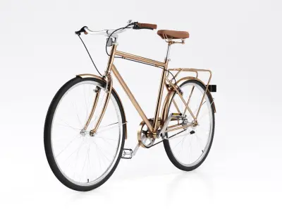 Bike Vintage Roadster 3D model