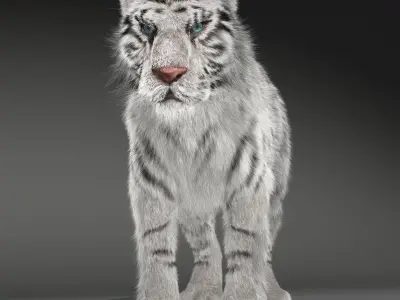 Rigged White Tiger v2 Low-poly 3D model