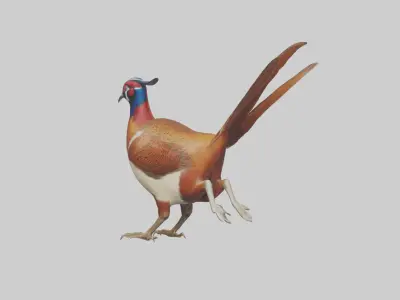 Pheasant running model Low-poly 3D model