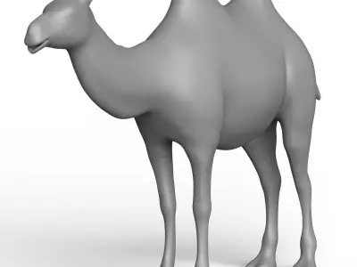 Camel Base Mesh Low-poly 3D model purchase