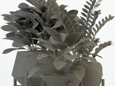 Plants collection 75 Modernica pots 3D model