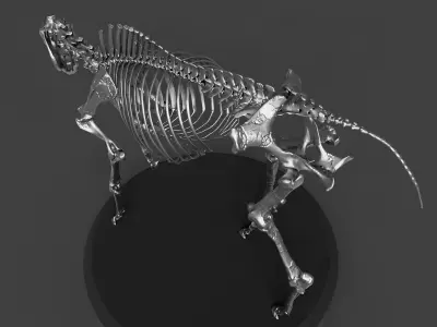 Silver Horse Skeleton 3D model