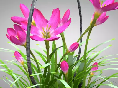Flower - Pink Nature 3D Model 3D model