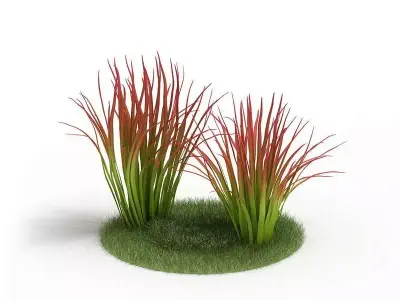 Red And Green Decorative Grass 3D model