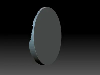 A horse with a mane 3D print model