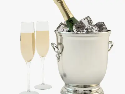 Cooling Champagne 3D model