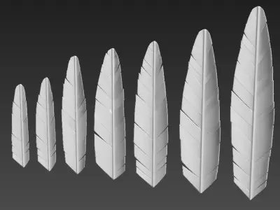 Feather seven different sizes 3D model