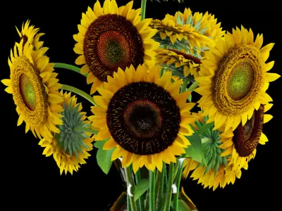 Sunflowers in glass vase 3D model