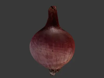  Red Onion 3D Scan Low-poly 3D model