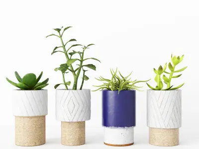 Shelf Accessories Pack A 3D Model Collection