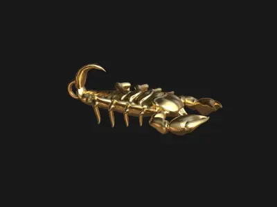 Scorpion Pendant 3D print model purchase