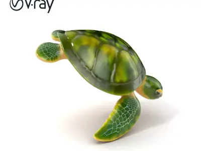 Green Sea Turtle Realistic Model Pack Low-poly 3D model