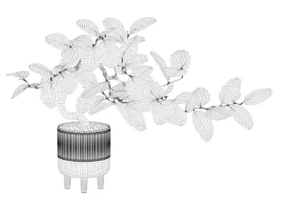 Ficus benghalensis 3D model