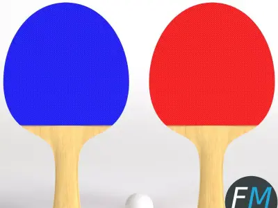 Ping pong paddles set 3D model