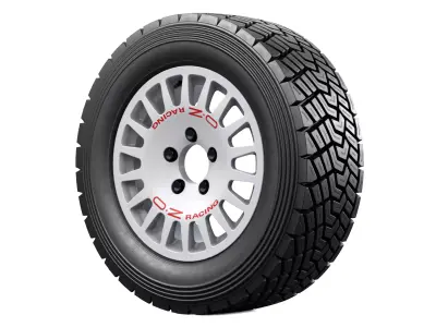 OZ Racing Rally Wheel 1 3D model