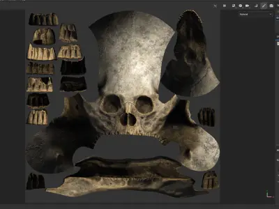 Next Gen Skeleton Real Time Game Ready Animated Low-poly 3D model