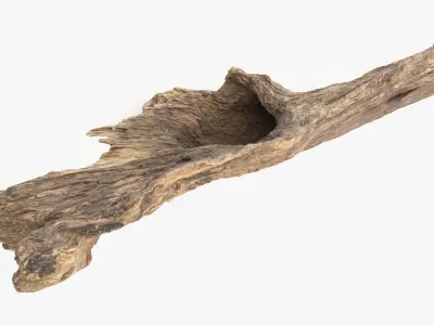 Snag Root Hideout Low-poly 3D model