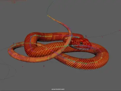 Snake - Orange 3D model