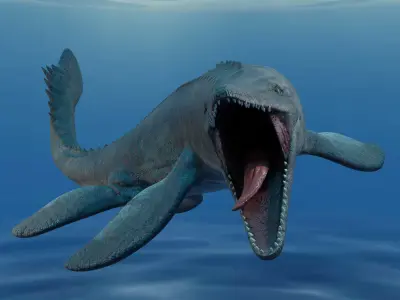 Mosasaurus Animated Low-poly 3D model