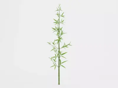Bamboo Plant - Stem with Leaves Low-poly 3D model