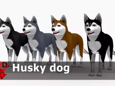Husky dog Low-poly 3D model purchase