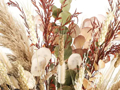 Bouquet of dried flowers vase hydrangea pampas wheat 308 3D model