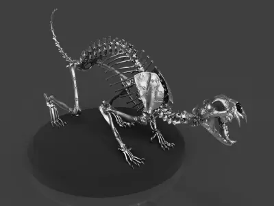 Silver CAT Skeleton 3D model