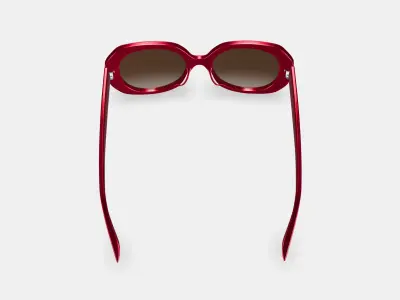 Rosetta Sunglasses in Maroon 3D model