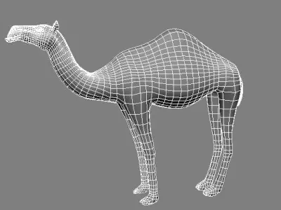 camel Low-poly 3D model