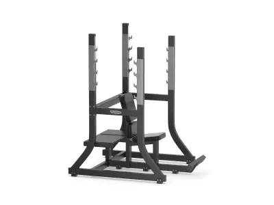 Technogym Pure Olympic Military Bench 3D model