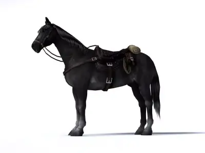 Black horse with saddle and bags Low-poly 3D model