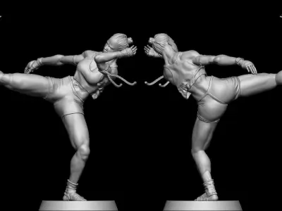 Mai Tai Fighter 3D print model