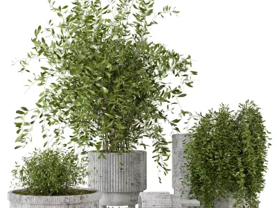 Indoor Plants in rusty Concrete Pot - Set 9 3D model