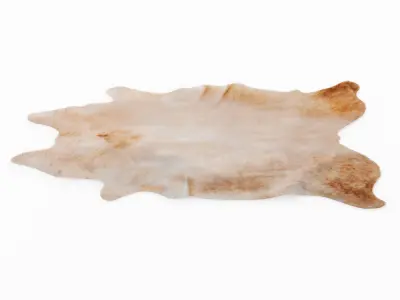 Four rugs from animal skins 04 3D model