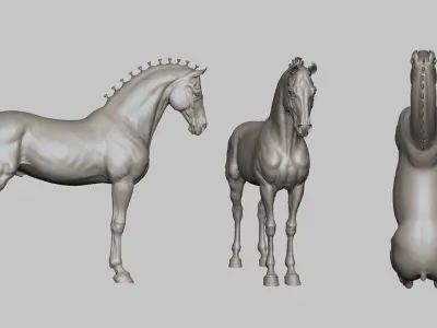 Horse Andalusian  - TPose 3D model