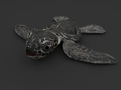 Turtle 3D model