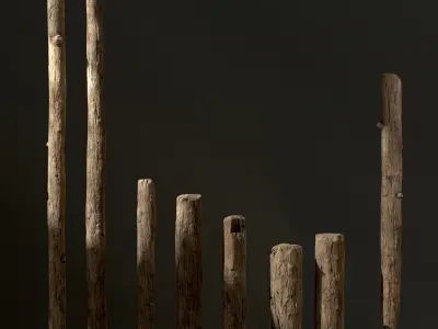 Old Wooden Poles and Planks 13 pieces Low-poly 3D model