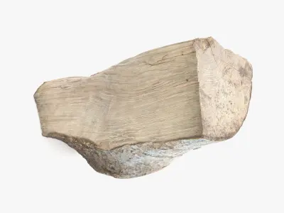 Log Fraxinus Low-poly 3D model