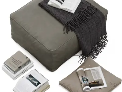 Floor decor set 001 with pouf and books 3D model