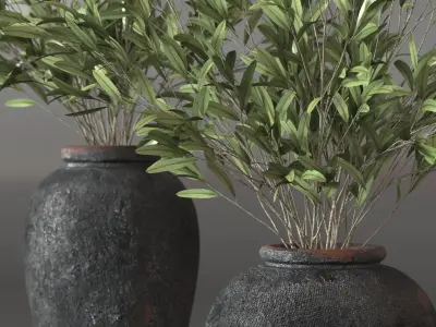 Olive branches in vase 3D model 3D model