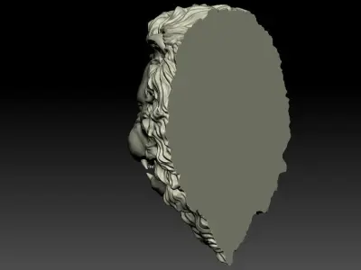 Lion Head Relief  3D Print Model 3D print model