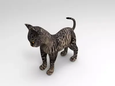 Black Cat Rigged Low-poly 3D model