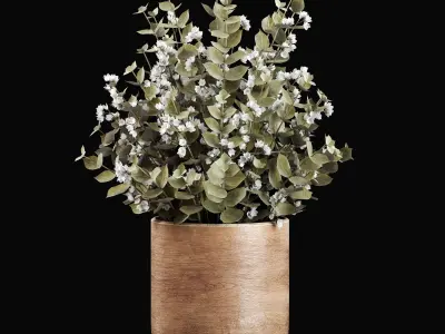 Plants Bouquet 3D model get
