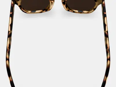 Kimball Sunglasses in Marzipan Tortoise 3D model