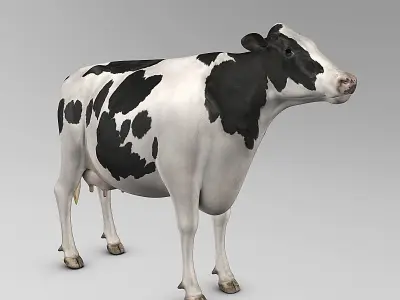 Cow Holstein 3D model